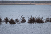 Cottbuser Ostsee