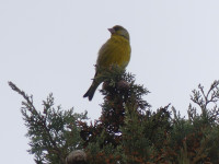 Tajos de Alhama