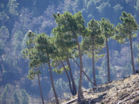 Mirador del Puerte de Las Palomas