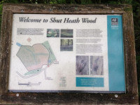 Shut Heath Wood