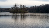 Erlensee