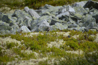 Rondane National Park - Høvringsvatne