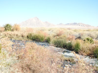 Clark County Wetlands Park