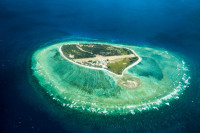 Lady Elliot Island