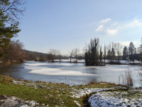 Küsnacht Schübelweiher