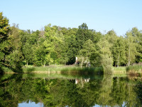 Küsnacht Rumensee