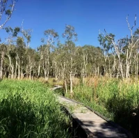 Fay Smith Wetlands