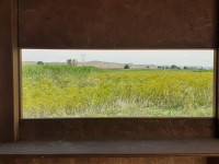 Reserva Ornitológica Los Albardales