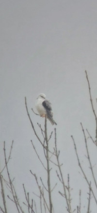 Pôle Nature de Vitrezay