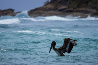 Marais de Saint-Félix