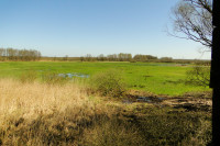 Rozlewisko Bolesławice