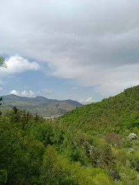 Vanadzor Botanical Garden