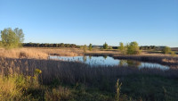 Lagunas de Padilla de Duero