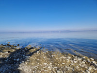 Seetaucherstrecke Lake Constance