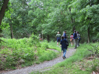 Garret Mountain Reservation