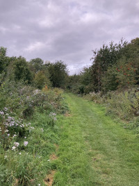 Cutteslowe and Sunnymead Park