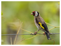 Estação Agronómica Oeiras