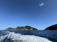 Marsden Cove Pelagic