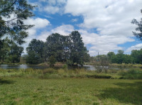Giralang Pond