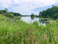 De Wieden - Kiersche Wijdepad