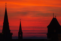 Strasbourg Grande-Île