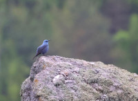 Vražji Kamen in Pčinja River Valley