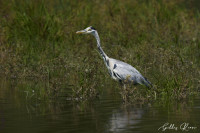 Espace Sports et Nature du Fier