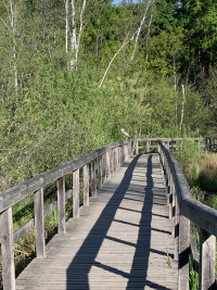 Teufelsseemoor Köpenick