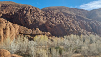 Dades Gorge - Monkey Fingers