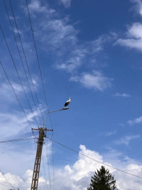 Dolistowo Nowe - Biebrza National Park