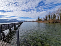 Kiesinsel Hurden - Rapperswil