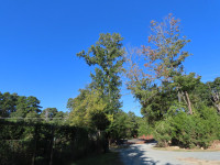 Martin Luther King Jr Park