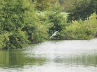 Reserve Naturelle de Pantegnies