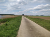 Vogelfreistätte Kauerlacher Weiher