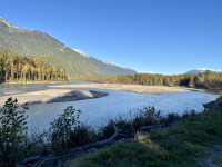 Brackendale Eagle Run