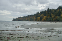 Williams Beach