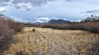 Banff Marsh Loop Trail