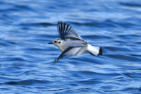 Wassersportsee Zülpich
