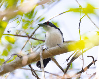 Finca Santa Catalina