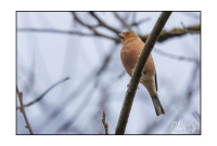 Marais du Val d'Ainan