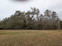 Camp Salmen Nature Park