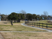 Mandeville - Sunset Point