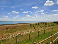 Balsa de Riego Herrín-Villalón-Boadilla