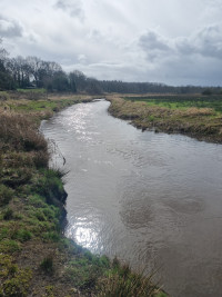 Drentse Aa bij Schipborg