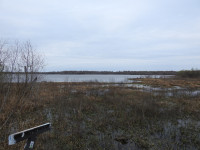 TNC White Kitchen Preserve