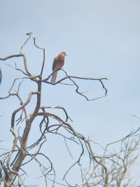 Parque Tony Gallardo