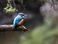 Cybina Valley in Poznań