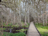 Joyce Wildlife Management Area