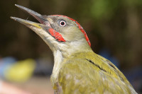 Baixador de Vallvidrera