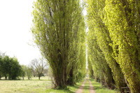 Parco dell’Adige Sud